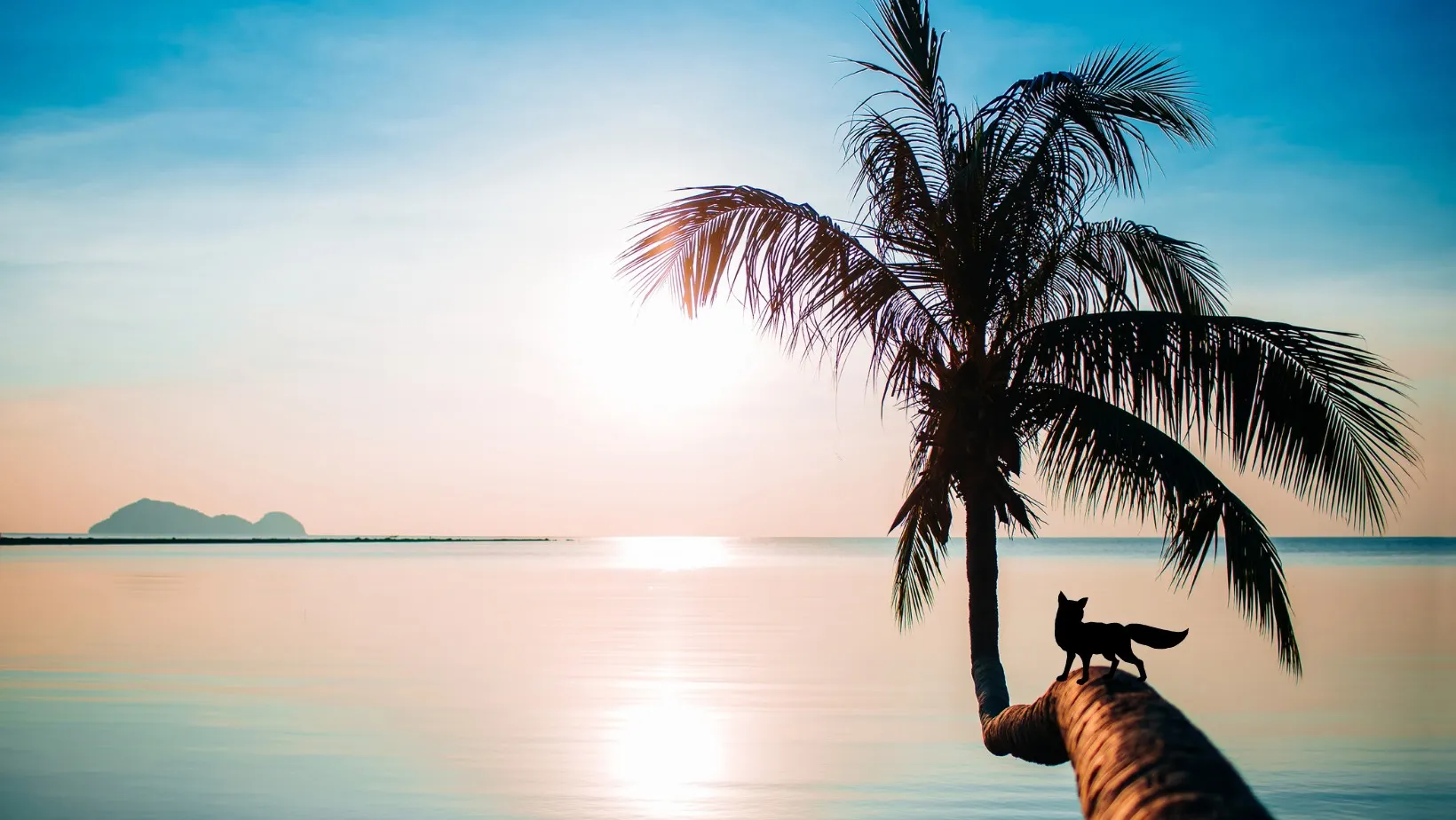 Foxxy cafe hero image